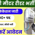 बिना एग्जाम सीधी भर्ती! बिजली मीटर रीडर के 4000+ पदों पर आवेदन शुरू, जानें आपके राज्य में कितनी हैं सीटें।